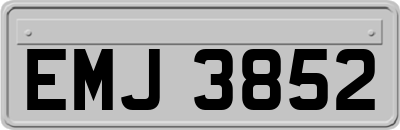 EMJ3852