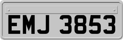 EMJ3853