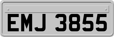 EMJ3855