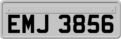 EMJ3856