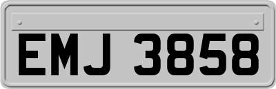 EMJ3858