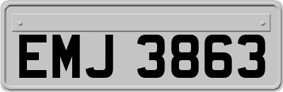 EMJ3863
