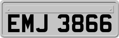 EMJ3866