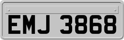EMJ3868