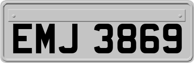 EMJ3869