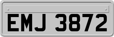 EMJ3872
