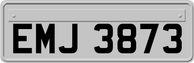 EMJ3873