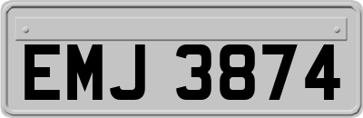 EMJ3874
