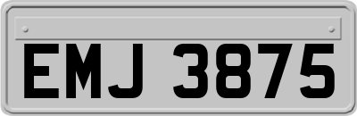 EMJ3875