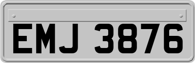 EMJ3876
