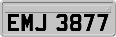 EMJ3877