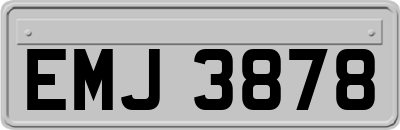 EMJ3878