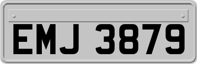 EMJ3879