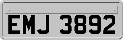 EMJ3892