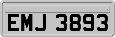 EMJ3893