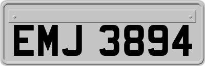 EMJ3894