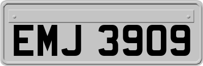 EMJ3909