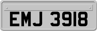 EMJ3918