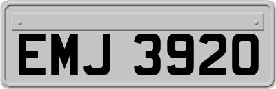 EMJ3920
