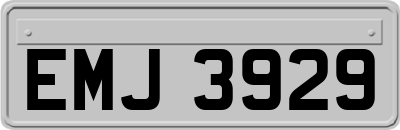 EMJ3929