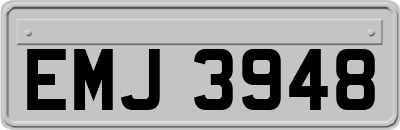 EMJ3948