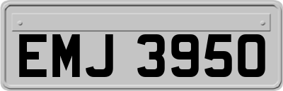 EMJ3950