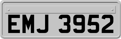 EMJ3952
