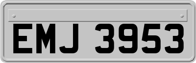 EMJ3953