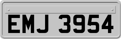 EMJ3954