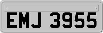 EMJ3955