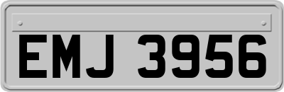EMJ3956
