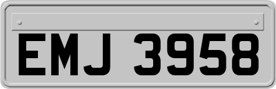 EMJ3958