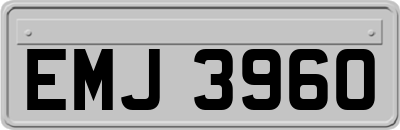 EMJ3960