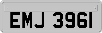 EMJ3961