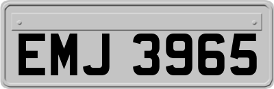 EMJ3965