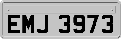 EMJ3973