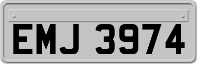 EMJ3974