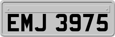 EMJ3975