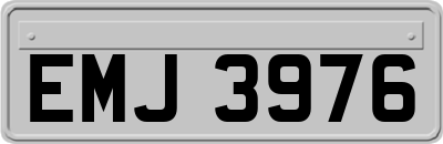 EMJ3976
