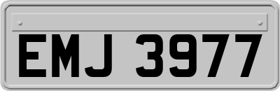 EMJ3977