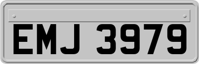 EMJ3979