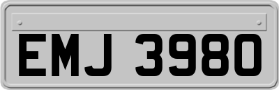 EMJ3980