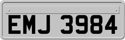 EMJ3984