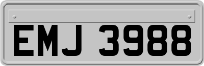 EMJ3988