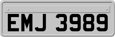 EMJ3989