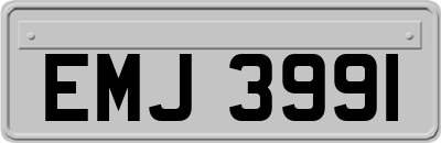 EMJ3991