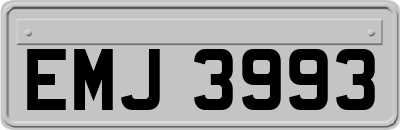 EMJ3993