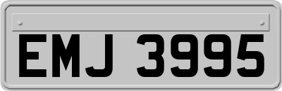 EMJ3995