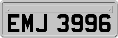EMJ3996