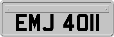 EMJ4011